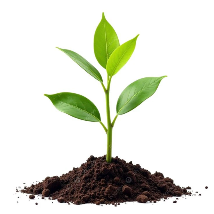 Agriculture